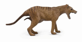 Tasmanian Tiger  CollectA 88767