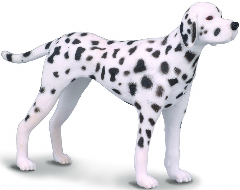 Giftbox Dogs   CollectA 89155