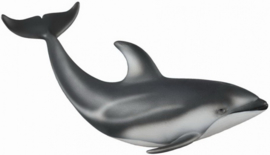 Pacific white-sided dolphin  CollectA 88612
