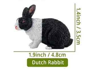 Dutch rabbit
