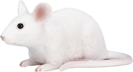White mouse  Mojo  ‎387235