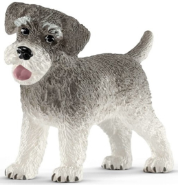 Dwergschnauzer  Schleich 13892