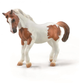 Chincoteague Pony  CollectA 88929