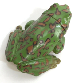 118  Forest Green Tree Frog