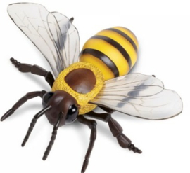 Honey bee  XL  S268229