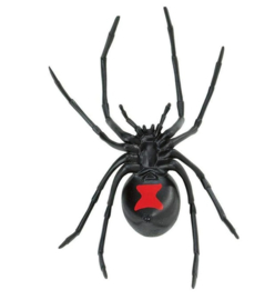 Black widow  XXL  S 545406