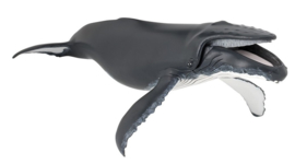Humpback Whale      Papo 56001