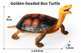 Geelkop schildpad XL
