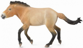 Przewalski paard hengst  CollectA 88602
