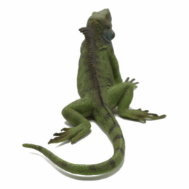 Iguana CollectA 88965