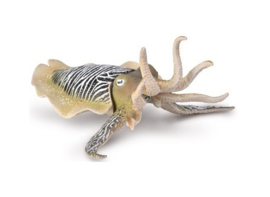 Common Cuttlefish   CollectA 80009 -