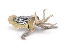 CollectA 80009 - Common Cuttlefish