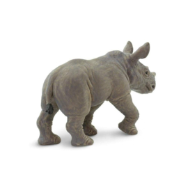 White Rhino Baby   S270329