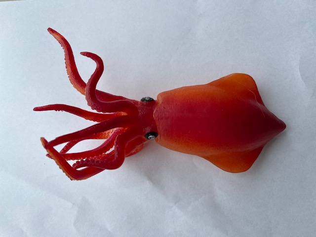 Squid Octopus etc.