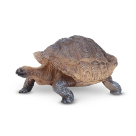Galapagos Tortoise  Toymany