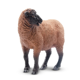 Brown Ewe  Toymany