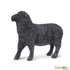 Sheep  black  Safari 162229