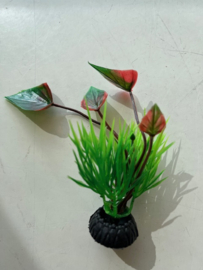 Waterplant C  pijlkruid