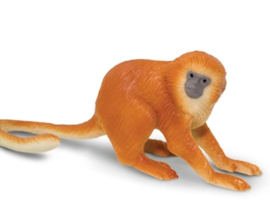 Golden lion tamarin mini  Safari