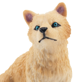 Wolf  pool-  arctic  welp  Toymany