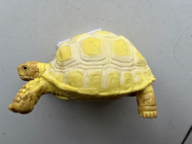 Landschildpad geel  XL