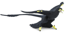 Microraptor Safari 304129