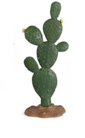 Schijfcactus