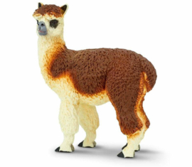 Alpaca  S224529