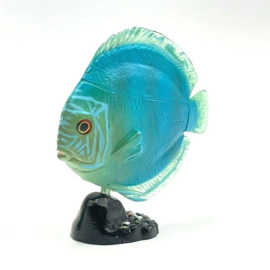 Discus fish blue   Kaiyodo