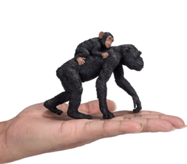 Chimpansee met jong  Mojo 387264