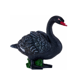 Black Swan  Mojo 381067