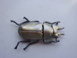 Golden beetle