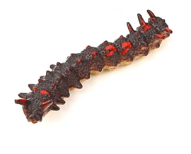 Caterpillar