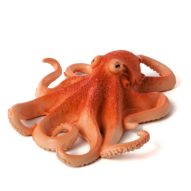 Octopus Mojo 387275