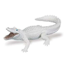 Alligator  witte  Safari 291929