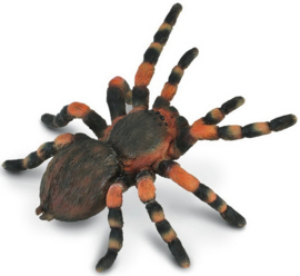Mexican Redknee Tarantula    CollectA 88338