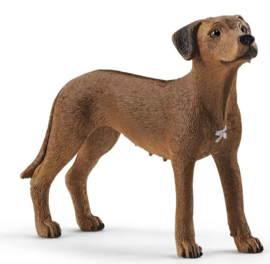 Leeuwhond Schleich 13895