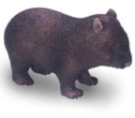 Wombat 75454  groot