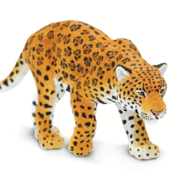 Jaguar Safari 227729
