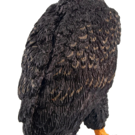 Amerikaanse zeearend  Toymany