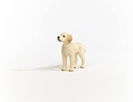 Goldendoodle - Schleich 13939