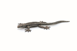 Papo  amphibians and reptiles