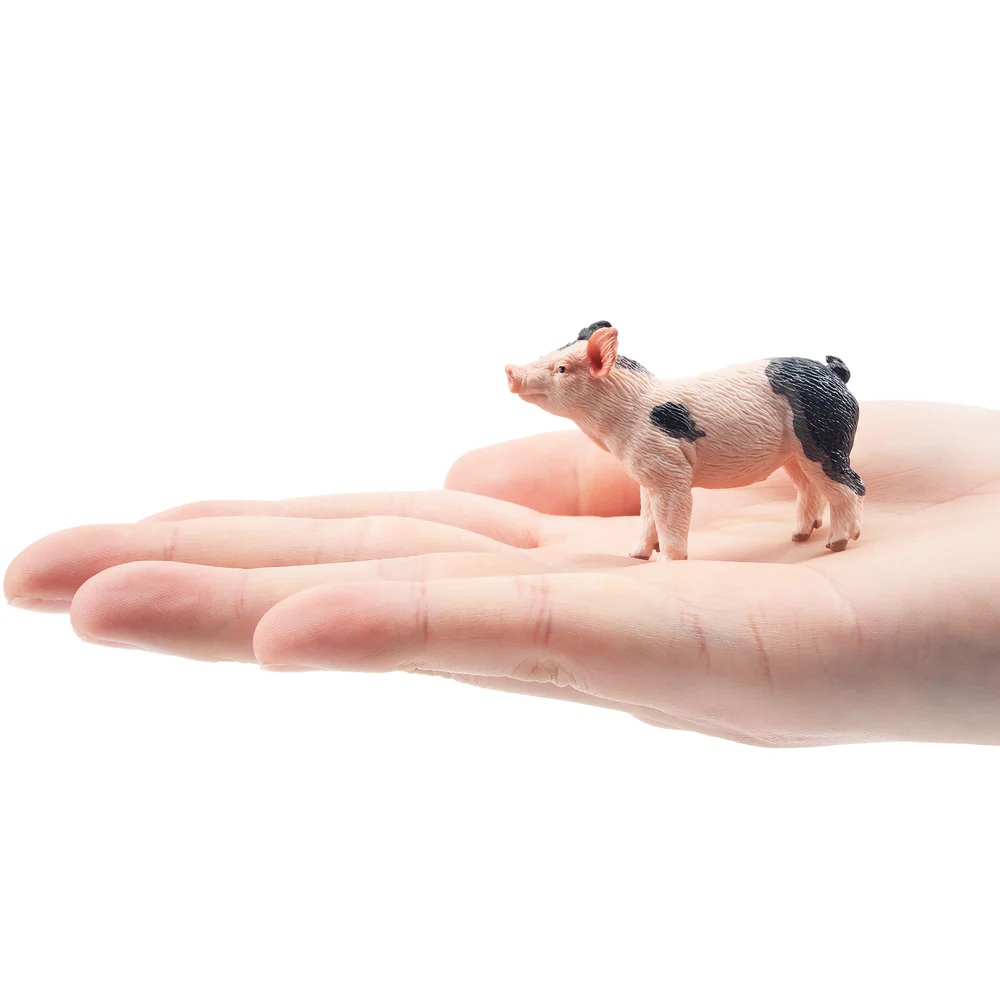 Pietrain Piglet  Toymany