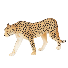 Cheetah man Mojo 387197