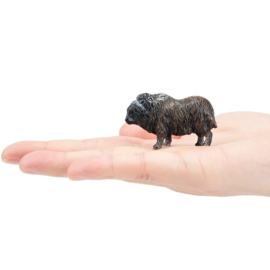 Muskusos  mini  Toymany