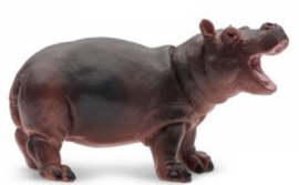 Hippopotamus Baby  S270529