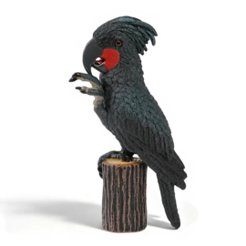 Zwarte of palm kaketoe