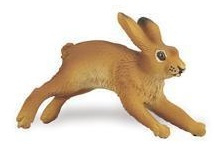 Hare running S233529