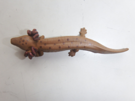 Axolotl mini bruin
