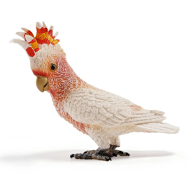 Major Mitchell's Cockatoo